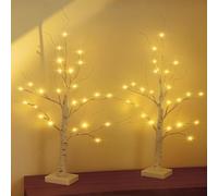 SALCAR Árbol de luces LED para interiores, 2 unidades, 60 cm, abedul, funciona con pilas, 24 ledes de color blanco cálido, decoración navideña para casa, fiesta, cumpleaños, boda, decoración de