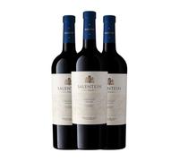 Salentein Barrel Selection Cabernet Franc Valle de Uco 75 cl Vino tinto (Caja de 3 Botellas de 75 cl)