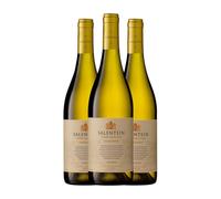 Salentein Barrel Selection Chardonnay Valle de Uco 75 cl Vino blanco (Caja de 3 Botellas de 75 cl)