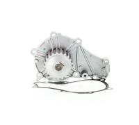 SALERI Bomba de agua para PEUGEOT: 207, Bipper, 107, 208, 307, 206, 1007, 207+, 2008, 206+ & FORD: Fiesta, C-Max, Focus, Fusion (Ref: PA1136AL)