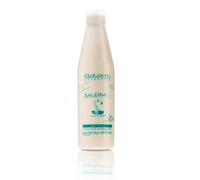PROTEÍNAS DE SEDA SALERM 21 (1 unidad x 250 ml) NUEVO FORMATO