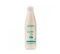 PROTEÍNAS DE SEDA SALERM 21 (1 unidad x 250 ml) NUEVO FORMATO