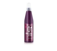 Salerm - brushing spray - pro line - 250 ml - spray termomodelador - p