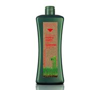 SALERM - Champú Anticaída - Biokera Natura Champú Específico Caída - 1000 ml - con Ginseng y Ginkgo Biloba - Normaliza el Ciclo de Crecimiento Capilar - Frena la Caída - Efecto Refrescante