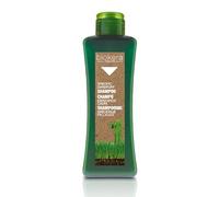 SALERM - Champú Anticaspa - Biokera Natura Champú Específico Caspa - 300 ml - con Piroctona Olamina y Aceite de Lino - Evita la Descamación del Cuero Cabelludo - Limpia e Hidrata la Piel