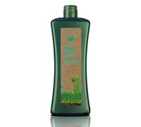 SALERM - Champú Antigrasa - Champú Específico Grasa Biokera Natura - 1000 ml - para Cabellos Grasos - con Levadura de Cerveza - Limpieza Suave - Propiedades Seborreguladoras