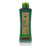 SALERM - Champú Antigrasa - Champú Específico Grasa Biokera Natura - 300 ml - para Cabellos Grasos - con Levadura de Cerveza - Limpieza Suave - Propiedades Seborreguladoras