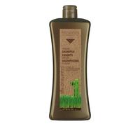 SALERM - Champú Argán Biokera Natura - 1000 ml - para Cabellos Dañados - con Aceite de Argán y Algodón - Hidratación Profunda Cabello - Limpieza Suave y Efectiva - Melena Brillante