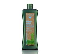 SALERM - Champú Cuero Cabelludo Sensible - Biokera Natura Champú Miel Scalp Care - 1000 ml - Limpia el Cuero Cabelludo de Sebo y Caspa - Purifica el Cabello - Previene y Combate las Infecciones