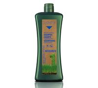 SALERM - Champú Hidratante Biokera Natura - 1000 ml - Ideal para Cabellos Secos o Deshidratados - con Aceite de Germen de Trigo - Hidratación Profunda Cabello - Melena más Suave y Brillante