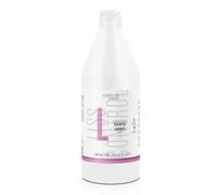 SALERM - Champú Keratina - Lisos Hair Lab - 1200 ml - Controla el Frizz del Pelo - Cabello Suave y Liso - con Protector de Calor - Facilita el Peinado - Champú sin Sulfatos ni Parabenos