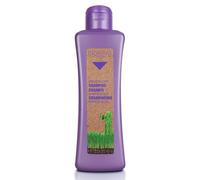 SALERM - Champú Pelo Blanco o Decolorado - Champú Grapeology Biokera Natura - 300 ml - con Aceite de Semilla de Uva - Nutre e Hidrata el Cabello - Limpieza Suave - Previene la Oxidación del Color