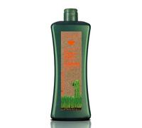 SALERM - Champú Pelo Teñido - Champú Cabellos Tratados Biokera Natura - 1000 ml - Protege el Color y la Fibra Capilar - con Aceite de Macadamia y Extracto de Bayas Rojas - Plus de Nutrición