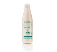 PROTEÍNAS DE SEDA SALERM 21 (1 unidad x 250 ml) NUEVO FORMATO