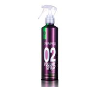 SALERM - Spray Voluminizador Cabello - Pro Line Volume Spray 02-250 ml - Levanta la Raíz - Aporta Volumen al Cabello sin Apelmazar - Resistente a la Humedad - Larga Duración - Termo Protector