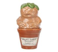 Salero y pimentero de mandrágora y maceta, juego de vajilla de cerámica Paladone