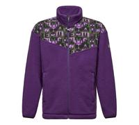 SALEWA Eagle Anniversary Fullzip Jacket U, plum, S