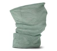 SALEWA Icono Headband, Pastel Green/Meadow, UNI58