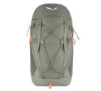 Salewa Mochila Alp Trainer 30L 65 cm gris