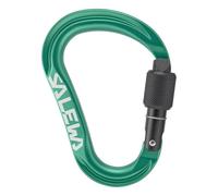 Salewa Ortles HMS M Carabiner, Irish Green, Uni