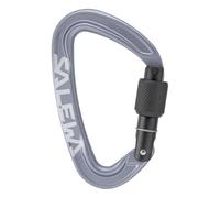Salewa Ortles Screw Mosquetón de rosca Talla única Gris