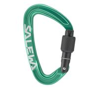Salewa Ortles Screw Mosquetón de rosca Talla única Verde