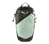 Salewa Pedroc Active Mochila de senderismo 42 cm verde