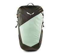 Salewa Pedroc Core Mochila de senderismo 50 cm verde