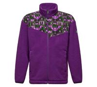 Salewa - Sudaderas - Eagle Anniversary FZ Jkt U Plum - Talla L - Púrpura Púrpura L