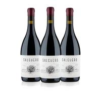Salgüero Tinto Vino Tinto Tempranillo Ecológico, Vino de Guarda, Vino Gastronómico, Crianza en Tinaja y Barrica, D.O. Ribera del Duero, 0,75 L Pack 3 Botellas (2018) PRADOREY