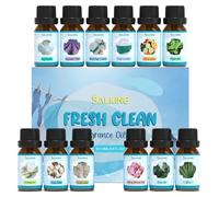 SALKING Fragancias Limpias Aceites Esenciales para Humidificador 12 x 10 ml, 100% Puro Aceites Esenciales Naturales para Difusor - Limón, Algodón Fresco, Jabón de Cerezo, Aire Puro, Aloe and More