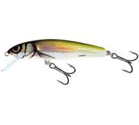 Salmo Minnow Wobbler - Señuelo para perca, lucio, lucioperca, trucha, lucio Cebo, lucio, trucha, etc., Holo Bleak
