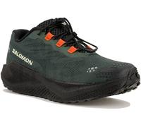 Salomon Aero Blaze 4 GRVL 46 Gris/plata