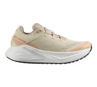 Salomon Aero Glide 3 GRVL Zapatillas mujer 39.1/3 Beige