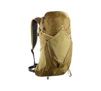 Mochila de Montaña Salomon Aerotrek 20 Brilliant Olive/Willow/Black S - M