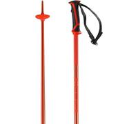 Salomon Arctic Bastones de aluminio para esquí y deportes de invierno Unisex, Ligereza, Resistente, Esquís en colores coordinados