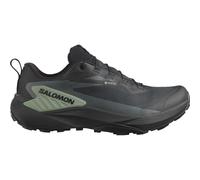 Calzado de hombre Salomon Genesis Gore-Tex Talla de zapato (EU): 47 1/3 / Color: negro/verde
