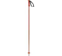 Salomon Polar Cherry Tomato 100