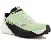 Salomon Pulsar 38.2/3 Verde