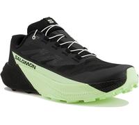 Salomon Pulsar 40.2/3 Negro