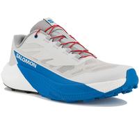 Salomon Pulsar 46 Gris/argent
