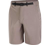 Salomon - Ropa de senderismo - Wayfarer 2.0 Shorts M Iron - Talla M - Beige Beige M