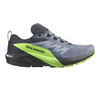 Salomon - Zapatillas de trail - Sense Ride 5 Gtx Flint Stone/Black/Green Gecko - Talla 9,5 UK - Gris Gris 9.5 UK