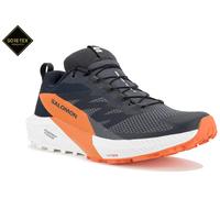 Salomon Sense Ride 5 Gore-Tex Zapatillas hombre 44 Bleu marine