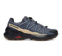 Salomon Shoes Speedcross Peak GTX Grisai/Spellb Grisaille/Spellbound/Safari - 10,5/45