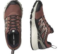SALOMON Shoes Wander GTX W, Zapatillas de Trail Running Mujer, Cedar Wood/Vanilla Ice/Rose Cloud, 41 1/3 EU