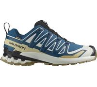 Salomon Shoes XA PRO 3D V9 GTX Dark B/Icicle/Alo 000-13,5/49.5