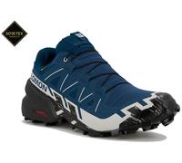 Salomon Speedcross 6 Gore-Tex Zapatillas hombre 46.2/3 Bleu