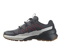 Salomon SPEEDCROSS PEAK WATERPROOF, Zapatillas de Deporte para Hombre, India Ink Carbon Glacier Gray, 41 1/3 EU