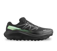 Salomon Ultra Flow 2 Goretex 109-L47981400-2 - Zapatillas de correr, Color negro., 43 EU
